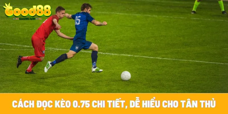 Kèo 0.75 có vẻ phức tạp đối với người mới chơi