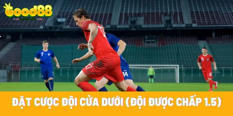 Đặt cược vào đội cửa dưới mang lại lợi thế lớn hơn 