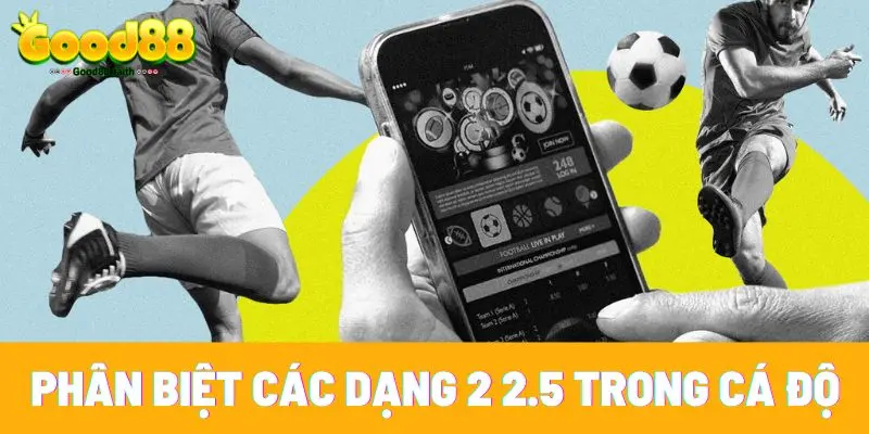 Kèo Chấp 2 2.5 Là Gì - Hướng Dẫn Cược Thực Chiến 2025 3 Phân biệt các dạng 2 2.5 trong cá độ bóng đá